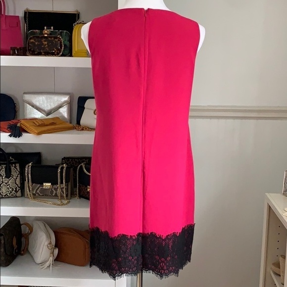 Ann Taylor LOFT Lace Trim Dress - Picture 5 of 6
